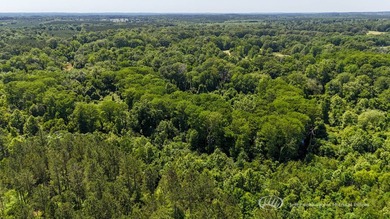 This 96+/--acre tract in Simpson County offers river frontage - photo 41