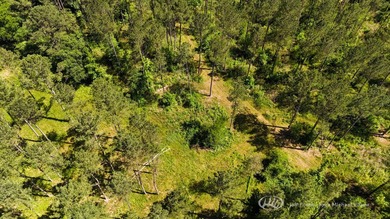 This 96+/--acre tract in Simpson County offers river frontage - photo 42