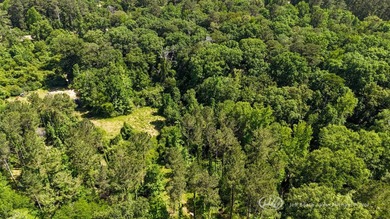 This 96+/--acre tract in Simpson County offers river frontage - photo 43