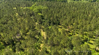This 96+/--acre tract in Simpson County offers river frontage - photo 44