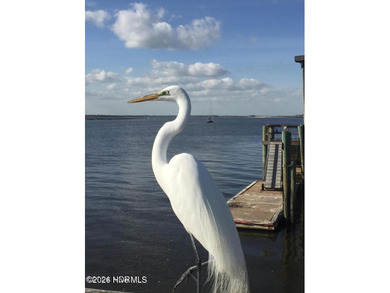 Welcome to the Southern Coast of North Carolina! This charming - photo 45