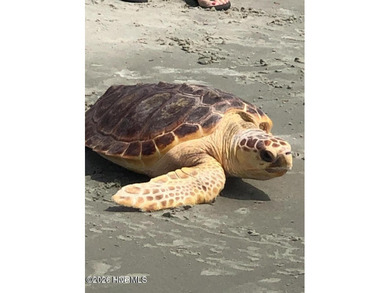 Welcome to the Southern Coast of North Carolina! This charming - photo 46