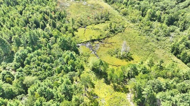 Discover the perfect blend of privacy, natural beauty, and - photo 6