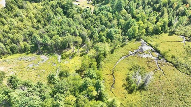Discover the perfect blend of privacy, natural beauty, and - photo 7
