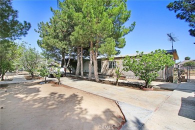 32802 Sheila Ln - photo 1