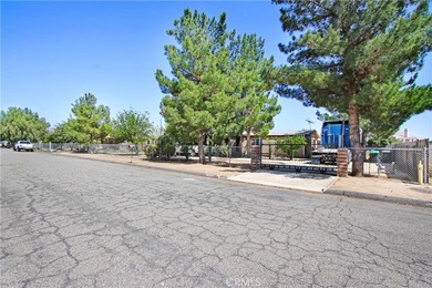 32802 Sheila Ln - photo 4