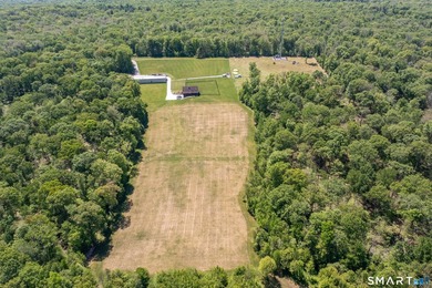 Exceptional opportunity to own a private country estate - photo 4