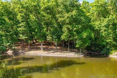700+ Feet of Lakefront - 3.3 +/- Acres - Cove Protection - - photo 53