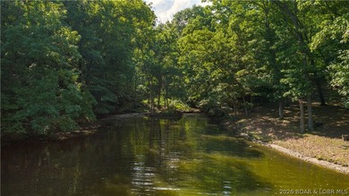 700+ Feet of Lakefront - 3.3 +/- Acres - Cove Protection - - photo 54