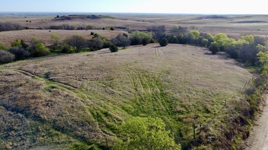 (private lake, pond, creek) Acreage For Sale in Glade Kansas