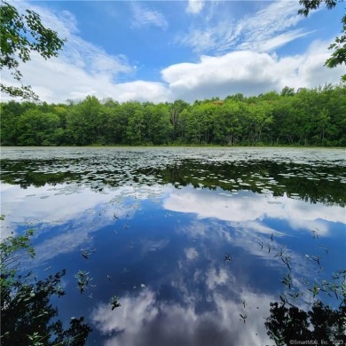 (private lake, pond, creek) Home Sale Pending in Brooklyn Connecticut