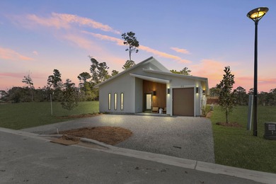 Powell Lake / Phillips Inlet Home For Sale in Inlet Beach Florida