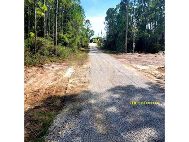 Aggressively priced lot on Pelayo Avenue with public gulf access - photo 4
