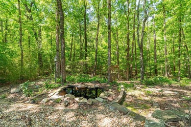 When Location Matters!! Nestled in the serene Serenidad - photo 42