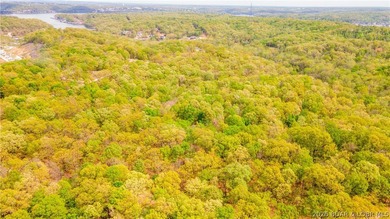 Rare opportunity to own 18.7 acres of beautiful, wooded land - photo 15