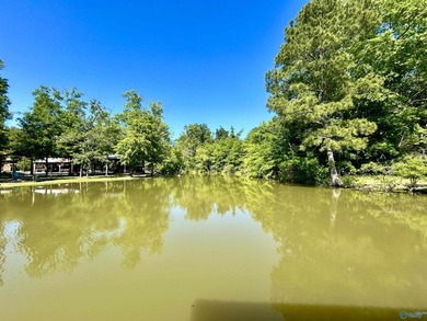 Nestled on the scenic shores of Weiss Lake in the sought-after - photo 8