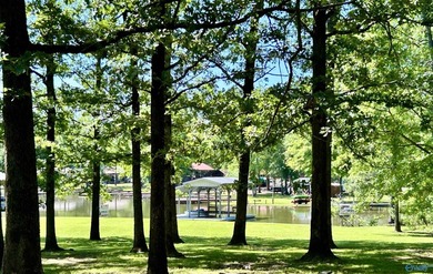Nestled on the scenic shores of Weiss Lake in the sought-after - photo 9