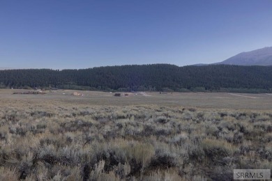 Own your own piece of paradise near pristine Henry's Lake. These - photo 4