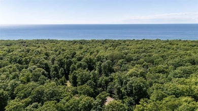 Nestled on 5 picturesque acres along the iconic Tunnel of Trees - photo 9