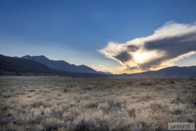 Own your own piece of paradise near pristine Henry's Lake. These - photo 6