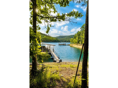 True Ozark living in a real log home that comes with a boat slip - photo 13