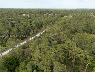 Build your dream home on this spacious 0.50-acre vacant lot - photo 13