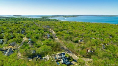 Modern Elegance in Sag Harbor Village Discover an exquisite - photo 3