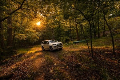 True Ozark living in a real log home that comes with a boat slip - photo 14