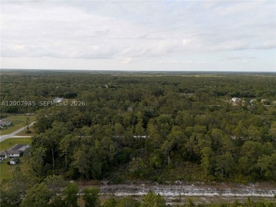 Build your dream home on this spacious 0.50-acre vacant lot - photo 15