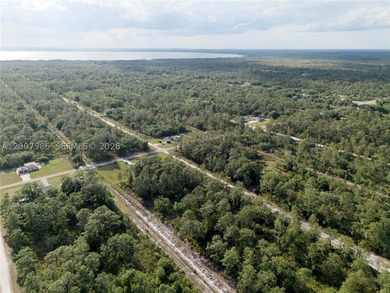Build your dream home on this spacious 0.50-acre vacant lot - photo 20