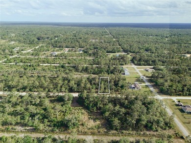 Build your dream home on this spacious 0.50-acre vacant lot - photo 22