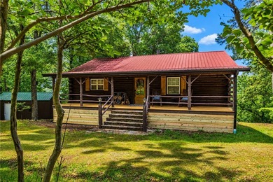 True Ozark living in a real log home that comes with a boat slip - photo 34