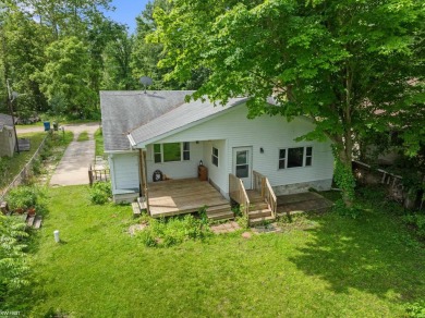 Lake Home For Sale in Bellevue, Michigan