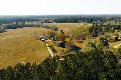 This property sits on just over three acres in a quiet, peaceful - photo 5