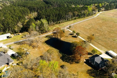 This property sits on just over three acres in a quiet, peaceful - photo 7