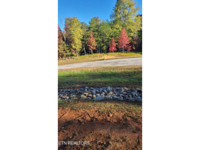 Watts Bar Lake Acreage For Sale in Rockwood Tennessee