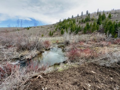 Lake Acreage For Sale in Bloomington, Idaho
