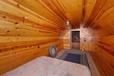 Freshly Repainted 2BD/1BA Cabin in Fawnskin - North Shore Big - photo 22
