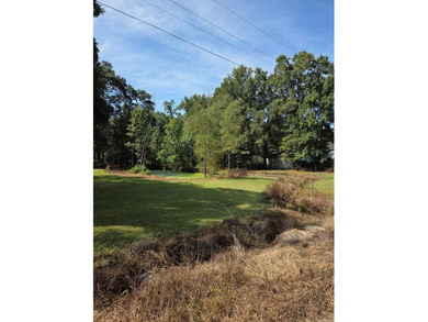 Plenty of space to enjoy the outdoors on this 2.5 acre property - photo 38