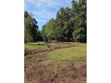 Plenty of space to enjoy the outdoors on this 2.5 acre property - photo 39