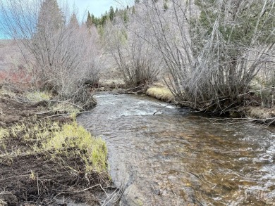 Lake Acreage For Sale in Bloomington, Idaho