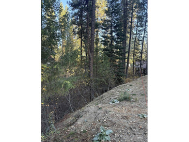 Build Your Dream Getaway in Terrace Lakes! Survey has been - photo 7