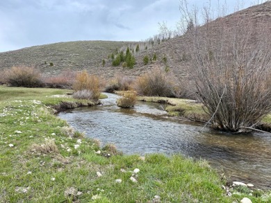 Lake Acreage For Sale in Bloomington, Idaho