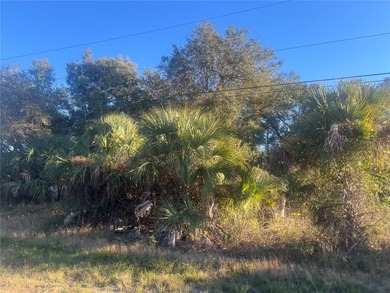 Lehigh Acres Area Lot Sale Pending in Lehigh Acres Florida