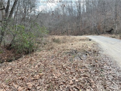 Lake Acreage For Sale in Spurlockville, West Virginia