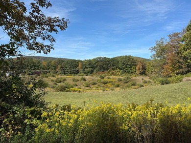 Lake Acreage For Sale in Cooperstown, New York