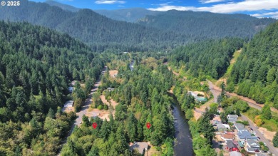 Lake Lot For Sale in Westfir, Oregon