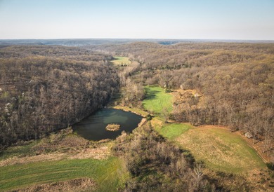 Lake of the Ozarks Home For Sale in Camdenton Missouri