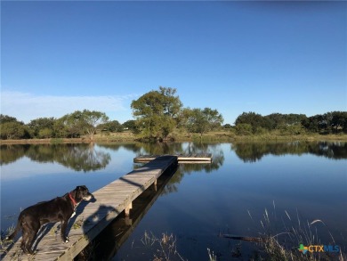 Lake Home For Sale in Mullin, Texas