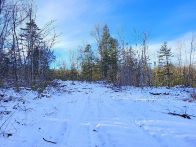 Toothaker Pond Acreage For Sale in Madrid Twp Maine